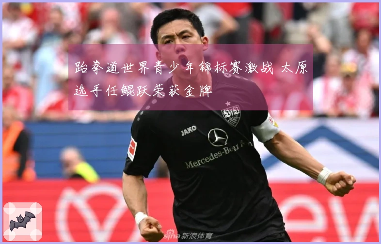 跆拳道世界青少年锦标赛激战 太原选手任鲲跃荣获金牌