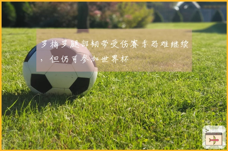 罗梅罗腿部韧带受伤赛季恐难继续，但仍可参加世界杯
