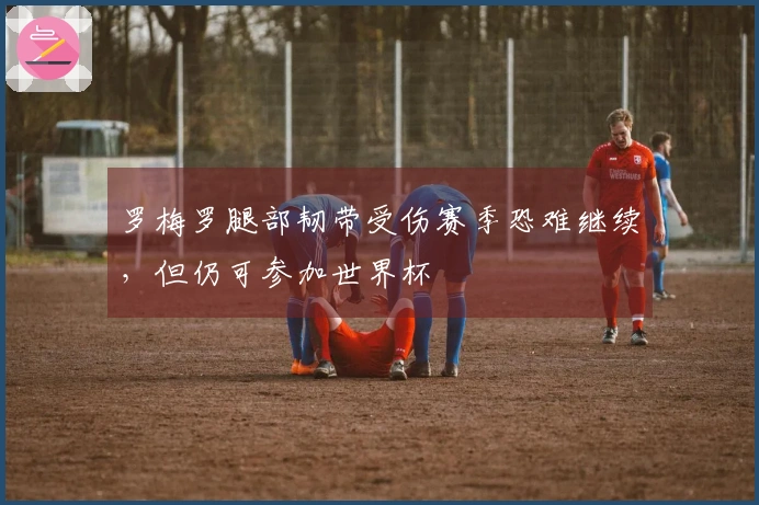 罗梅罗腿部韧带受伤赛季恐难继续，但仍可参加世界杯